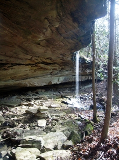 R0013313
